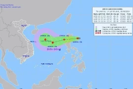 Các tỉnh, thành phố theo dõi chặt diễn biến áp thấp nhiệt đới