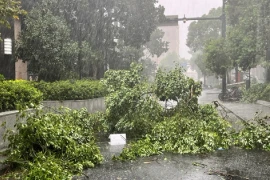 Bão Bebinca tấn công 'rát' Thượng Hải, 10.000 cây xanh gãy đổ