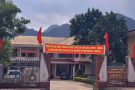 Quảng Bình: Bắt giữ 1 cán bộ Ban Quản lý dự án huyện Minh Hóa