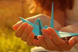 Thơ Nguyễn Trọng Đồng: Bé và con hạc giấy 