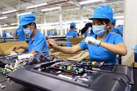 Đến năm 2025, Việt Nam phấn đấu có khoảng 1,5 triệu doanh nghiệp