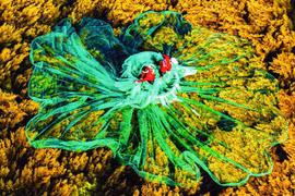 Kho báu xanh làng biển