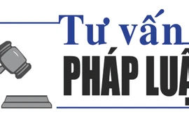 Luật sư Bùi Thanh Vũ tư vấn pháp luật trả lời bạn đọc N.T.V.A. (TP. Pleiku) 