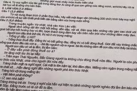 Khởi tố nữ sinh gửi đề thi tốt nghiệp THPT nhờ người giải giúp