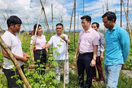 Pleiku huy động nguồn lực hỗ trợ người nghèo 