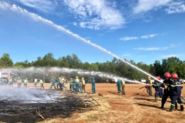 Gia Lai chủ động phòng-chống cháy rừng