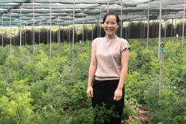 Nông dân trẻ thu tiền tỷ từ lá cảnh