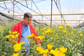 Sửa đổi, bổ sung cơ chế quản lý, tổ chức thực hiện các chương trình mục tiêu quốc gia 