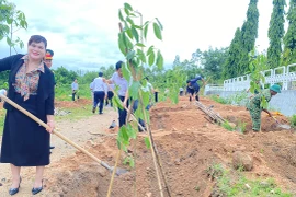 Trồng 250 cây kèn hồng tại khu vực Đài tưởng niệm liệt sĩ huyện Ia Pa 