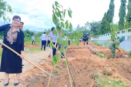 Trồng 250 cây kèn hồng tại khu vực Đài tưởng niệm liệt sĩ huyện Ia Pa 