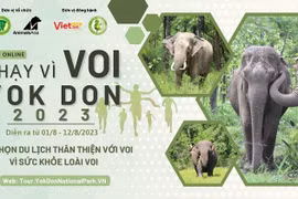 Giải online 'Chạy vì loài voi Yok Đôn' lần 2 năm 2023