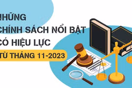 [Infographic] Những chính sách nổi bật, có hiệu lực từ tháng 11-2023 