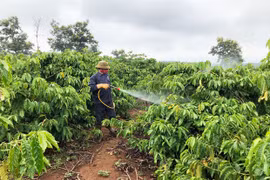 Thuốc bảo vệ thực vật sinh học: Lựa chọn thông minh