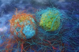 Nga phát triển công nghệ độc đáo điều chế thuốc điều trị ung thư