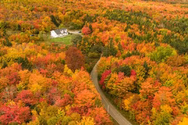 Khám phá mùa thu rực rỡ ở nơi hình thành nên đất nước Canada