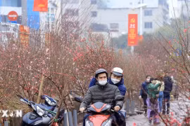 Bộ Nội vụ đồng ý nghỉ Tết 9 ngày, nghỉ lễ 30/4 và 1/5 kéo dài 5 ngày