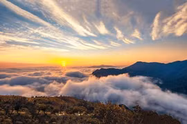 Kinh nghiệm du lịch Tà Xùa an toàn