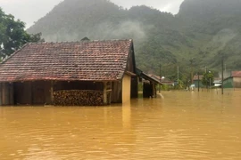 'Làng du lịch tốt nhất thế giới' Tân Hóa ngập sâu, bị cô lập sau bão số 4