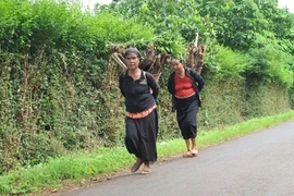 Phát huy truyền thống 'sướng khổ cùng nhau, no đói giúp nhau' 