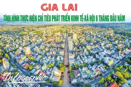 Gia Lai: Thực hiện chỉ tiêu phát triển kinh tế-xã hội 6 tháng đầu năm