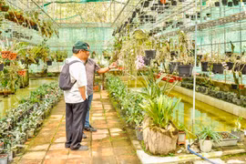 Phát triển du lịch sinh thái Vườn Quốc gia Chư Mom Ray 