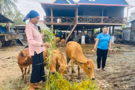 Giảm nghèo theo địa chỉ: Bền vững, thiết thực 