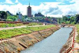 Mơ về suối Hội Phú 