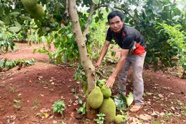 Những thanh niên Jrai dám nghĩ, dám làm 