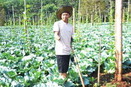 Khuyết tật vẫn sản xuất giỏi 