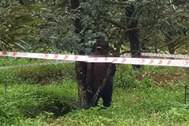 Phát hiện người đàn ông tử vong ở tư thế treo cổ trong vườn sầu riêng