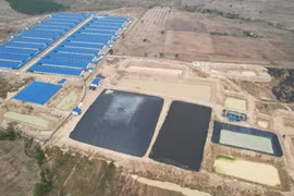 Ủy ban nhân dân tỉnh trả lời kiến nghị của cử tri