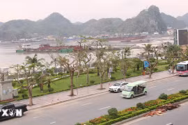 Hải Phòng: Cát Bà và Đồ Sơn đã sẵn sàng đón khách du lịch