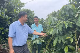 Sức bật làng Ngol Tă 