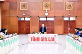 Phó Thủ tướng Chính phủ Trần Lưu Quang: Đẩy nhanh tiến độ giải ngân vốn các chương trình MTQG