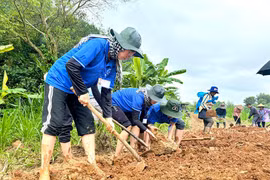 Yêu Tổ quốc theo cách riêng của giới trẻ