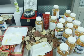 Xử lý kịp thời các hành vi lợi dụng chức vụ, quyền hạn bảo kê đối tượng buôn lậu 