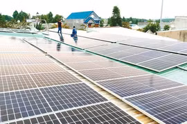 Đón đầu xu thế năng lượng xanh