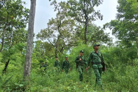 Lặng thầm cống hiến nơi phên giậu Tổ quốc