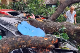 Cành cây gãy rơi trúng nữ giáo viên đang đi dưới sân trường, đè bẹp 4 ôtô