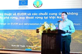 Nâng cao nhận thức về quy định không gây mất rừng của EU