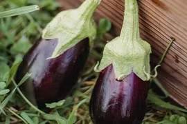 Những loại rau củ không nên ăn thường xuyên