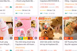 Bắt đúng trend gấu bông Capybara, người bán online bỏ túi gần 13 tỉ đồng