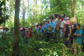 Công an xác định hung thủ giết cô gái trẻ 24 tuổi ở Quảng Bình đã tự sát