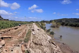 Sụt lún, sạt lở ven sông Krông Nô khiến người dân bất an