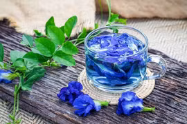 Hoa đậu biếc cực tốt cho sức khỏe nhưng sẽ thành 'độc dược' nếu uống theo cách này