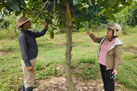 Mang Yang quan tâm tạo sinh kế cho hộ nghèo