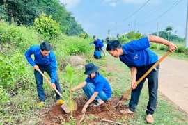 Khơi dậy tinh thần tình nguyện của thanh niên