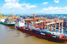 Giao thẩm quyền quyết định dừng ngay, dừng hoạt động cơ sở phá dỡ tàu biển cho Cục Hàng hải Việt Nam