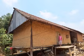 Về Hà Đông ngắm nhà sàn vách đất