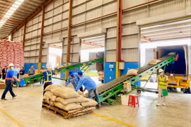 Ban Quản lý Khu Kinh tế tỉnh Gia Lai đồng hành cùng doanh nghiệp